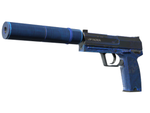 StatTrak™USP-S|Калька